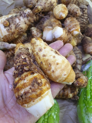 Khoai Môn Sọ